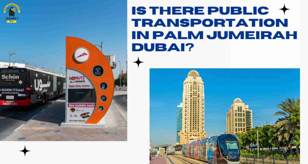 Is there public transportation in Palm Jumeirah Dubai?